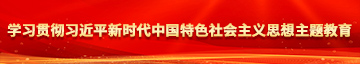 把逼掰开我要艹蛋的学习贯彻习近平新时代中国特色社会主义思想主题教育